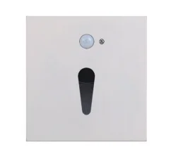 Night Light JDB2005G 2W