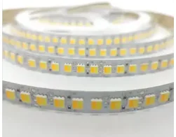 24V CCT Tunable 2-in-1 LED Strip Light 140D 8mm 2-Wire
